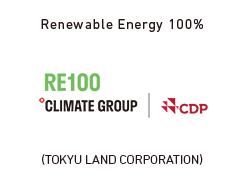 Renewable Energy 100%