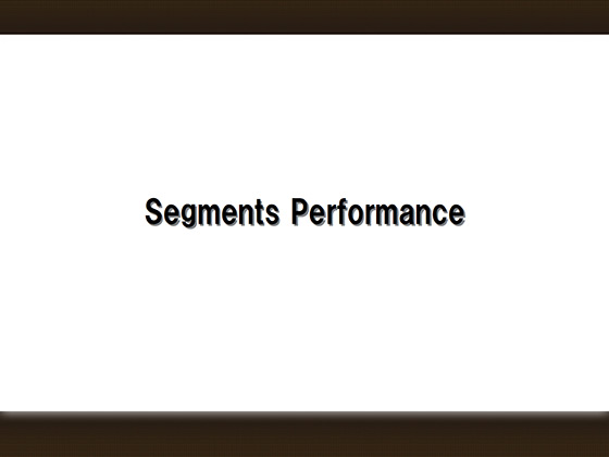 Segments Performance