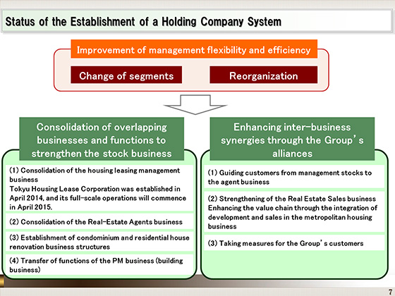 Status of the Establishment of a Holding Company System