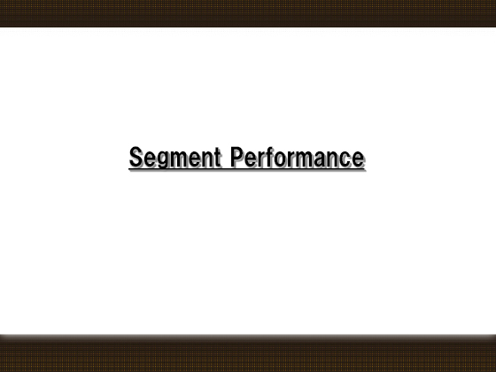 Segment Performance