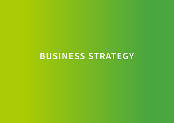 BUSINESS STRATEGY