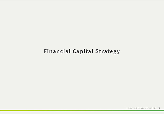 Financial Capital Strategy