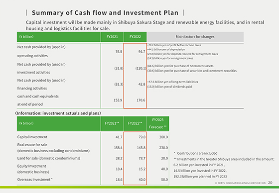 Summary of Cash flow and Investment Plan