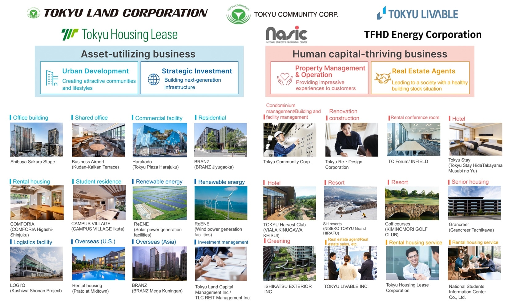 multifaceted businesses