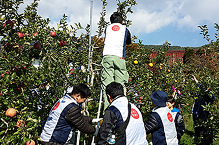 First Volunteer Activity in Rikuzentakata in FY2015