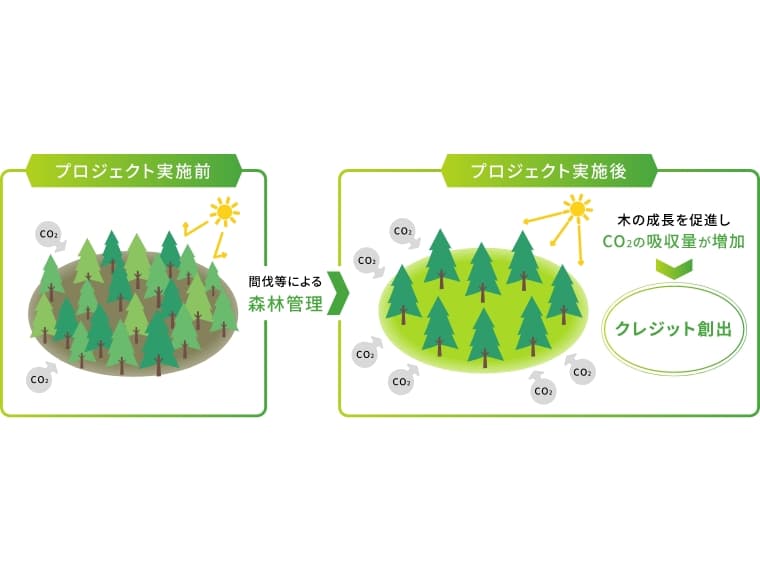 森林経営活動に基づくクレジット創出の仕組み