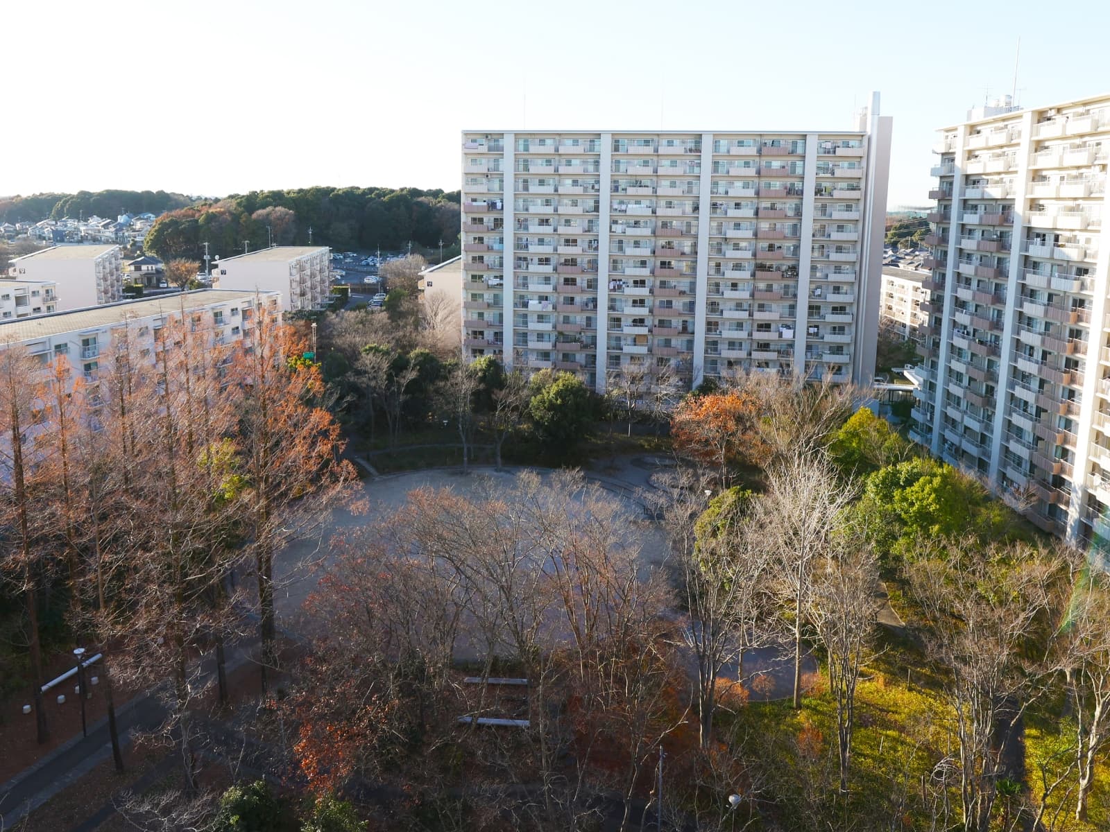 公民連携で推進する蓼科の「もりぐらし」