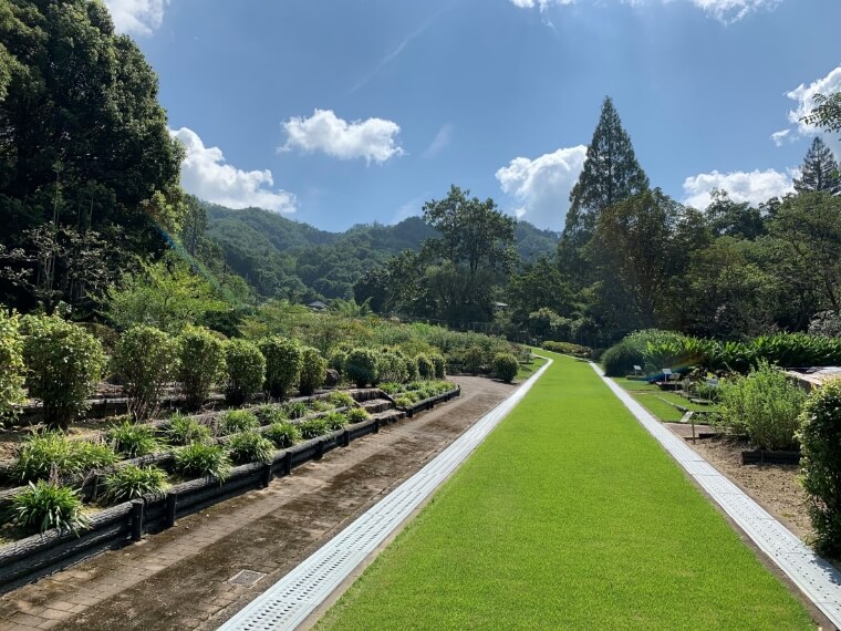 京都薬用植物園　中央標本園