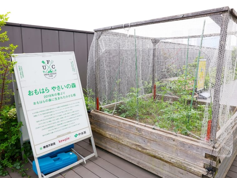 地域とのつながりを生み出す菜園「やさいの森」