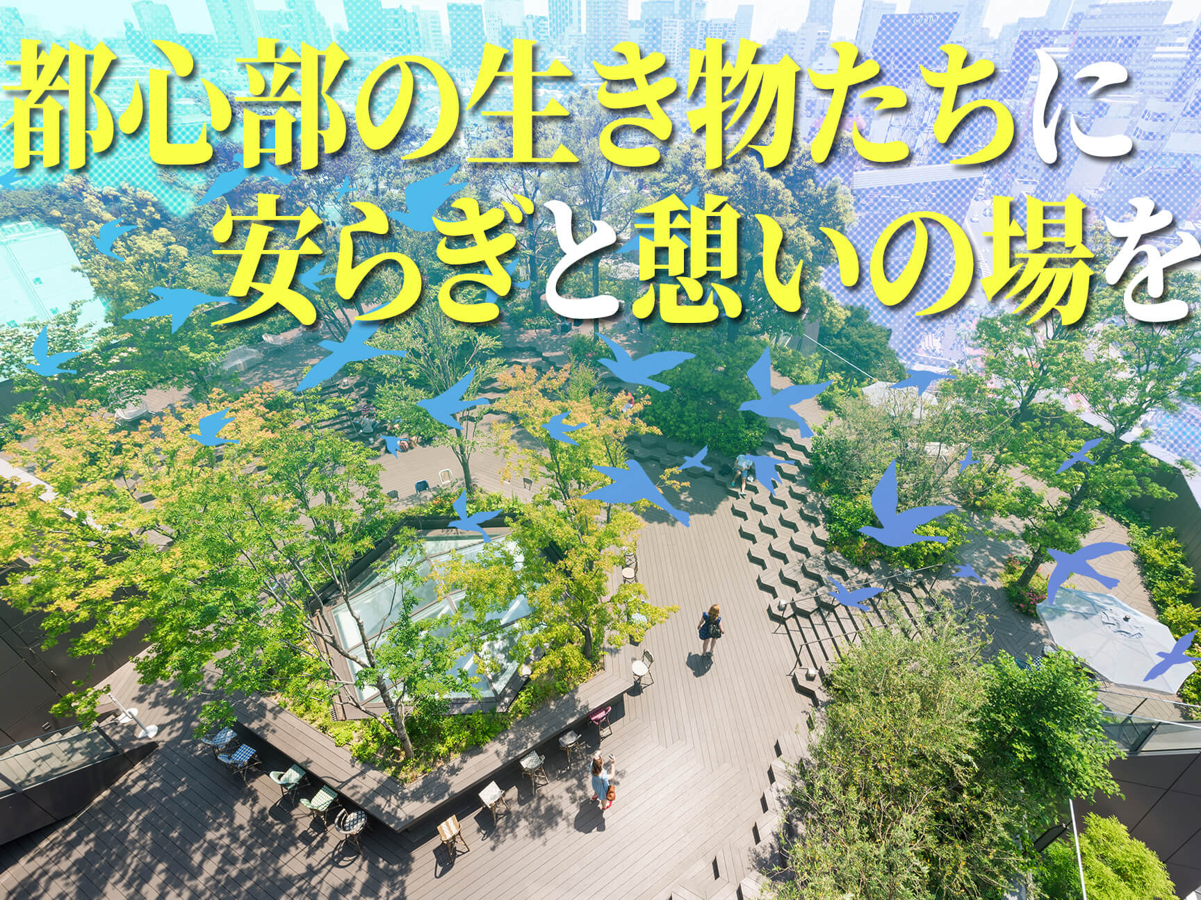 緑豊かな広域渋谷圏をつなぎ、生態系を守る「おもはらの森」