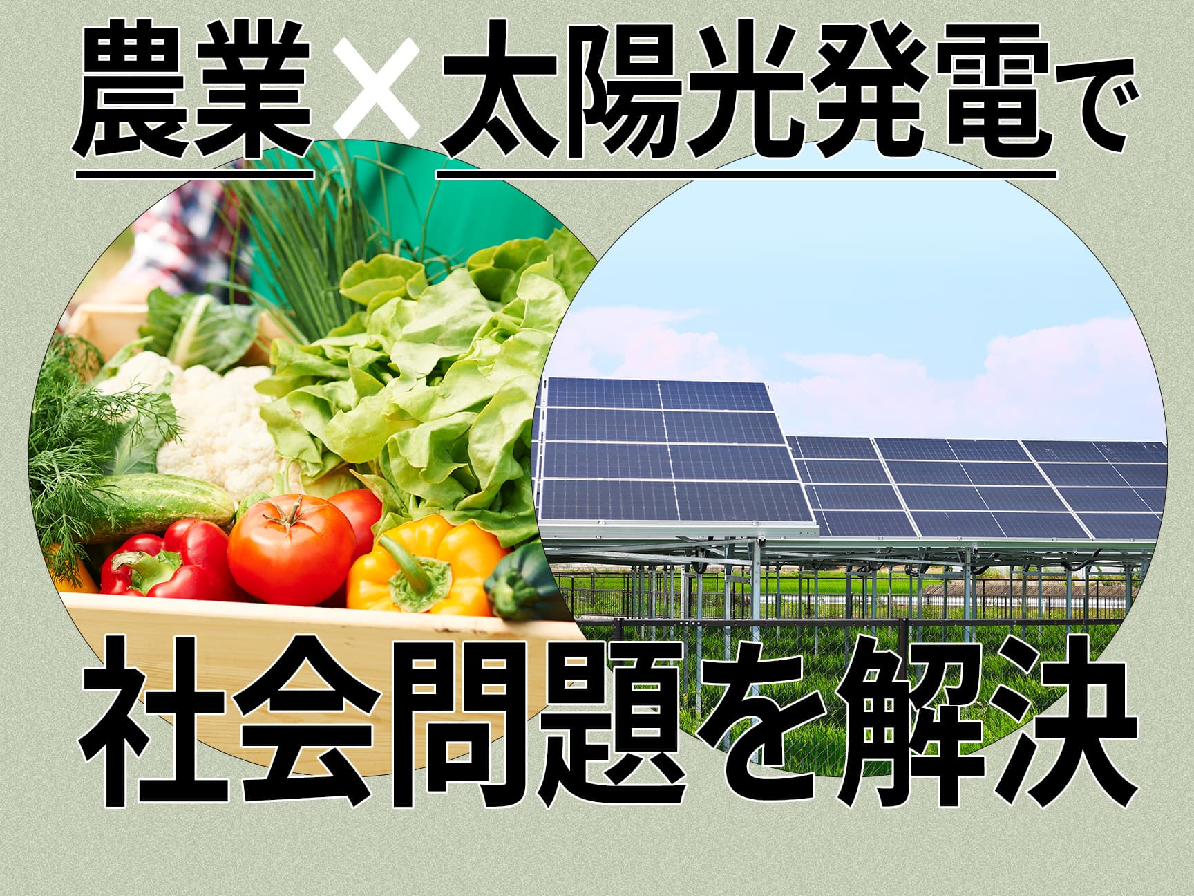 埼玉県東松山市の「ソーラーシェア」が農業の未来を明るく照らす