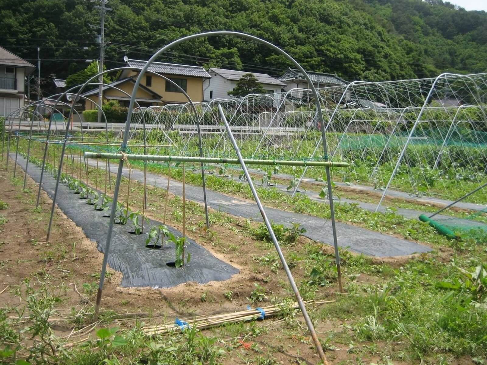 「東急ハーヴェストクラブ旧軽井沢」での「食の循環」「地産地消」の取り組み